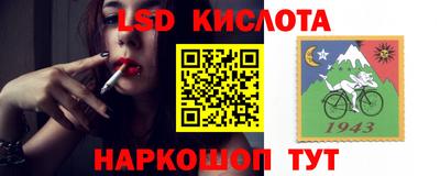 СК Донской