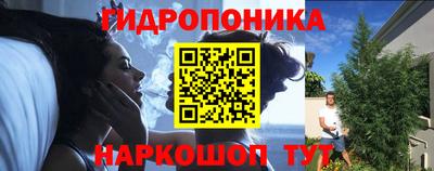 СК Донской