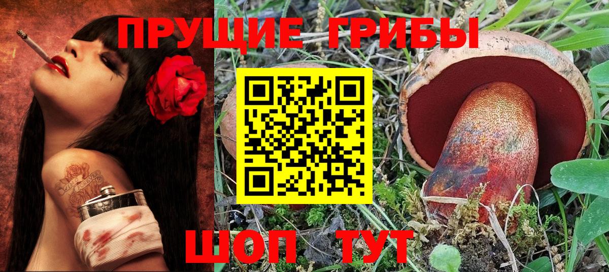 Елизово  Галлюциногенные грибы GOLDEN TEACHER  Вход с VPN 